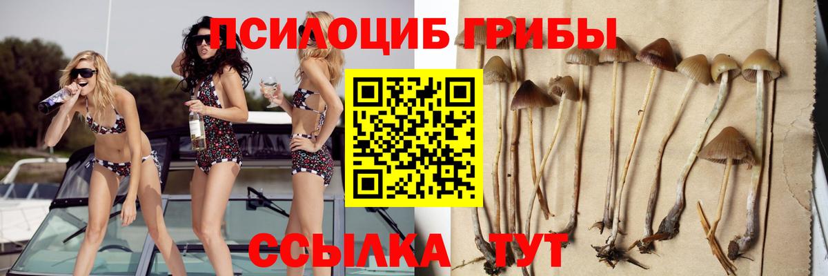 Кубинка  Галлюциногенные грибы мухоморы  Галлюциногенные грибы MAGIC MUSHROOMS  Вход с VPN 